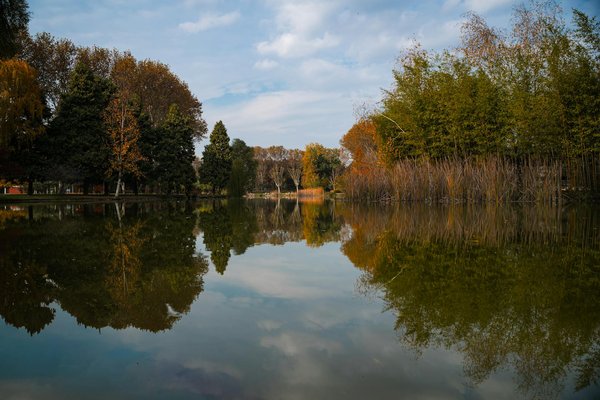 Exploring the Impact of Dietary Changes on Menopausal Symptoms in Women: Can Food Be the Key to Relief?