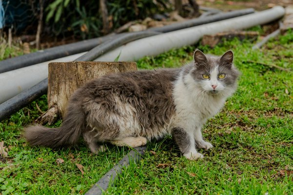 Hivpreventionresearch